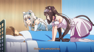 Nekopara